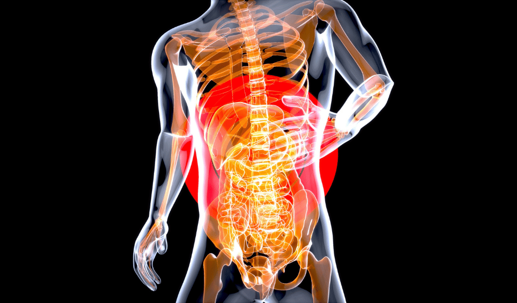 Pain Management & Relief